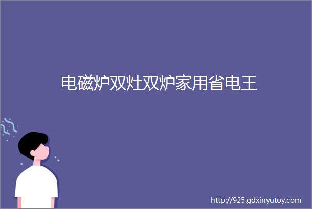 电磁炉双灶双炉家用省电王